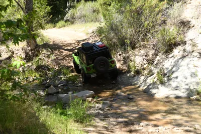 DSC_5910 (Large).JPG